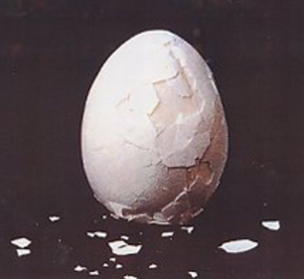 クロージングセミナー：コロンブスの卵